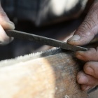 A kézifűrész fenése ráspollyal. Fotó: Toró Attila.