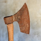 Faragóbárd. Fotó: Toró Attila.