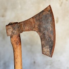 Faragóbárd. Fotó: Toró Attila.