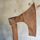 Faragóbárd. Fotó: Toró Attila.