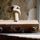 Menetvágó. Fotó: Toró Attila.