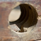 Menetvágó. Fotó: Toró Attila.