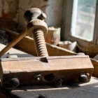 Menetvágó. Fotó: Toró Attila.