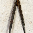 Körző. Fotó: Toró Attila.