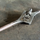 Menetvágó. Fotó: Toró Attila.