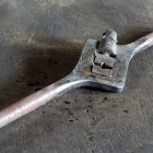 Menetvágó. Fotó: Toró Attila.