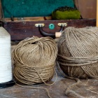 Gépcérna, vékony és vastag spárga. Fotó: Toró Attila.