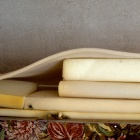 Szivacsok. Fotó: Toró Attila.