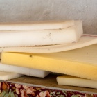 Szivacsok. Fotó: Toró Attila.