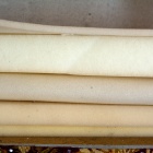 Szivacsok. Fotó: Toró Attila.