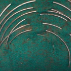 Kédervarró tűk. Fotó: Toró Attila.