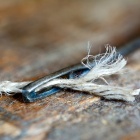 Kárpitos tű. Fotó: Toró Attila.