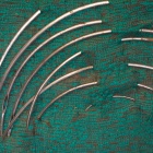 Kédervarró tűk. Fotó: Toró Attila.