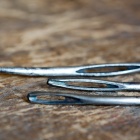 Kárpitos tűk foka. Fotó: Toró Attila.