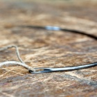 Kédervarró tű. Fotó: Toró Attila.