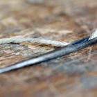 Kédervarró tű. Fotó: Toró Attila.