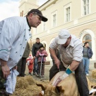 Fotó: Vargyasi Levente.